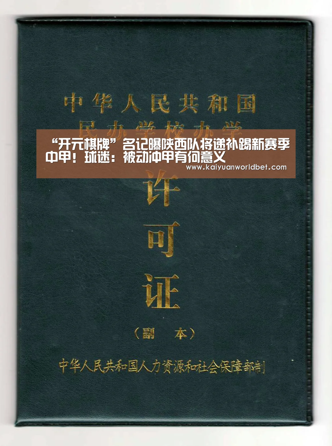 “开元棋牌”名记曝陕西队将递补踢新赛季中甲!球迷:被动冲甲有何意义(图1) 开元官网