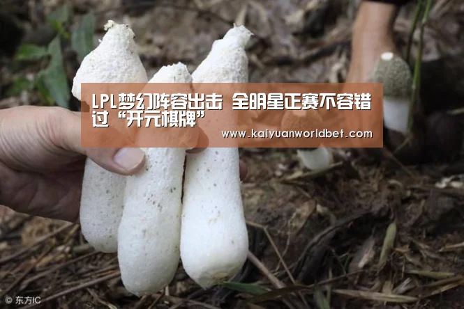 LPL梦幻阵容出击 全明星正赛不容错过“开元棋牌”(图1) 开元官网