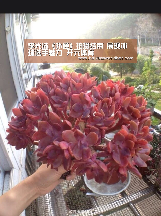 李光洙《扑通》拍摄结束 展现冰球选手魅力-开元体育(图4) 开元体育