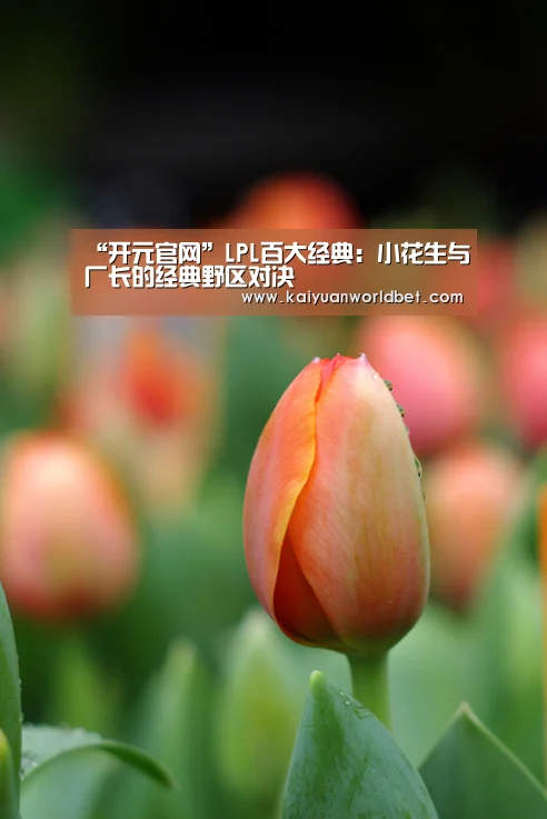 “开元官网”LPL百大经典:小花生与厂长的经典野区对决(图1) 开元官网
