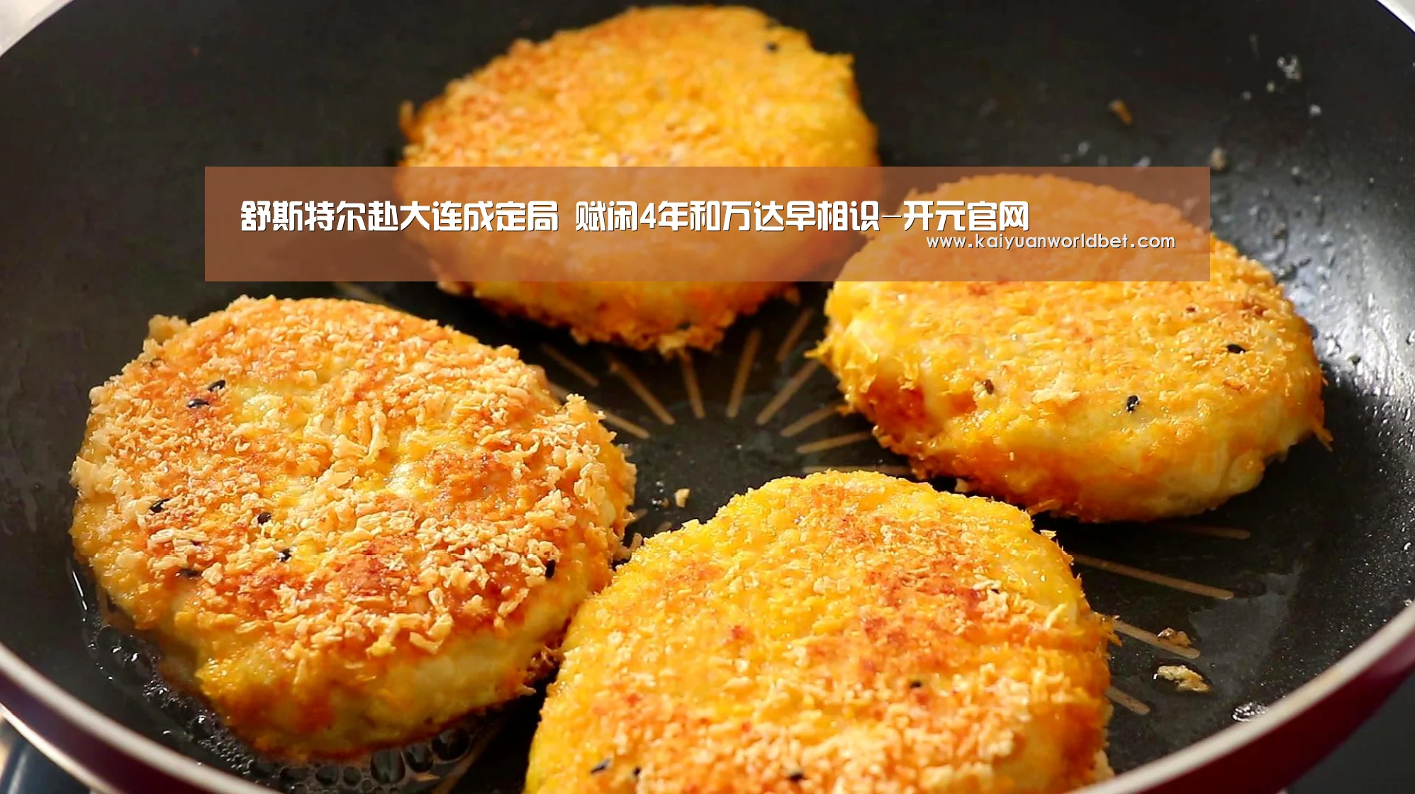 舒斯特尔赴大连成定局 赋闲4年和万达早相识-开元官网(图1) 开元棋牌